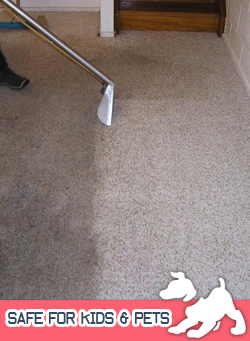 Carpet Cleaning Service Near Me